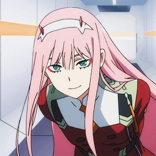 Zero two ️mi esposa ️ | Wiki | •Anime• Amino