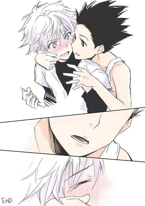 Gon x killua.