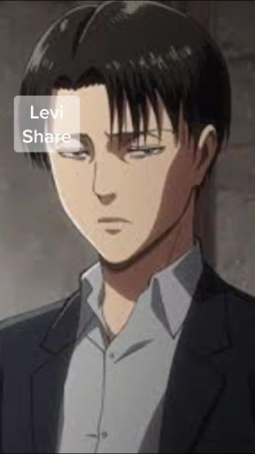 Leviackerman Anime Amino