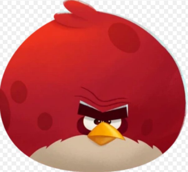 terence-wiki-angry-birds-fans-amino-amino