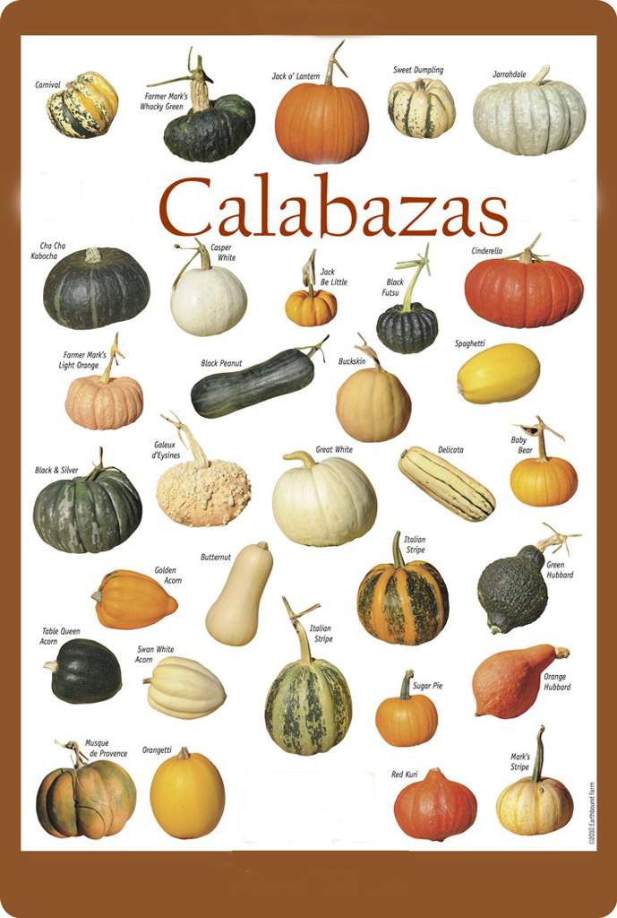 calabaza-wiki-wicca-y-paganismo-amino