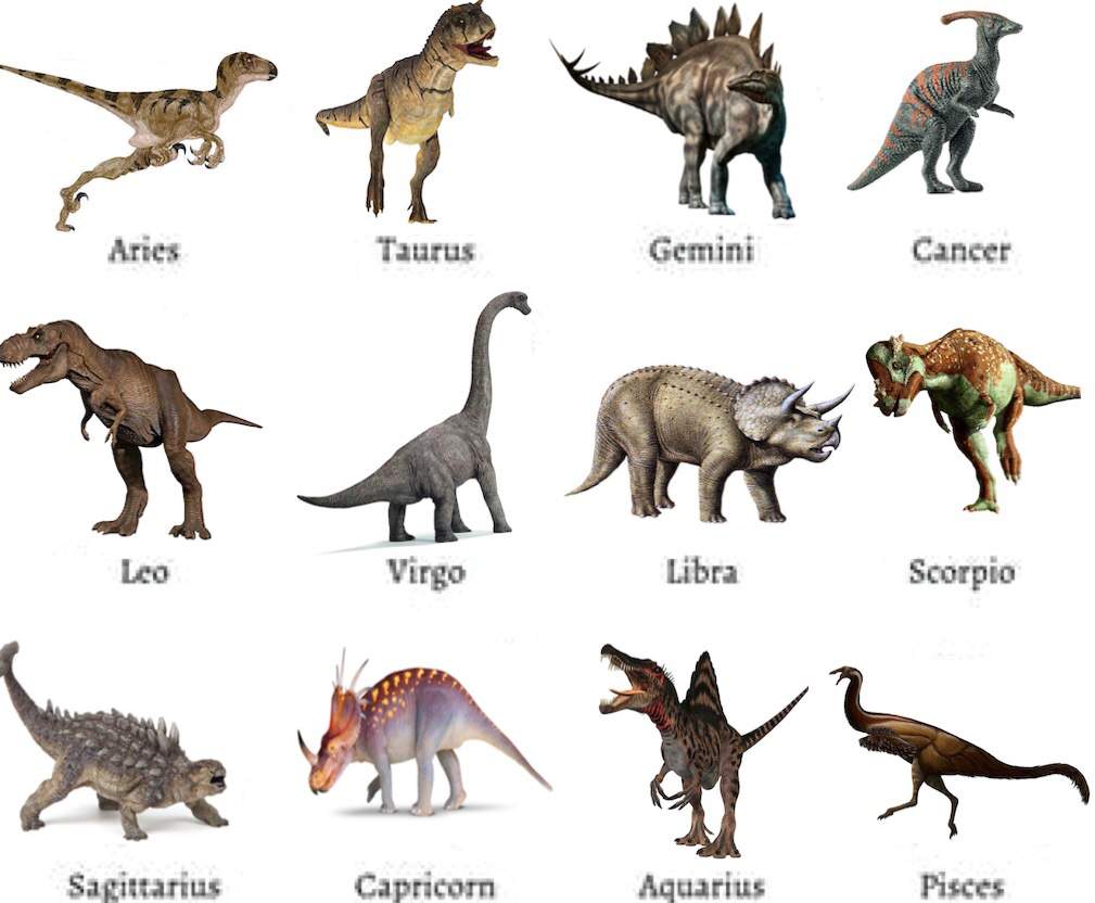 Dinosaur Zodiac Signs | Dinosaur - Amino Amino