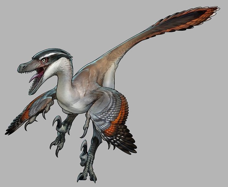 Velociraptor Ecotensis Wiki Jurassic World Amino Rpg ™ Amino 8443