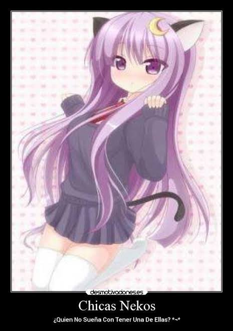 Imágenes de mujeres neko | •Anime• Amino