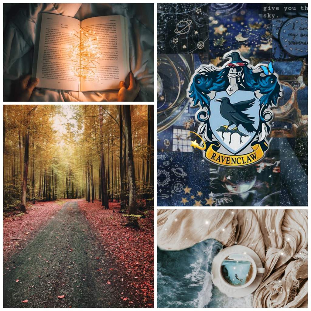 Ravenclaw autumn mood board | Harry Potter Amino