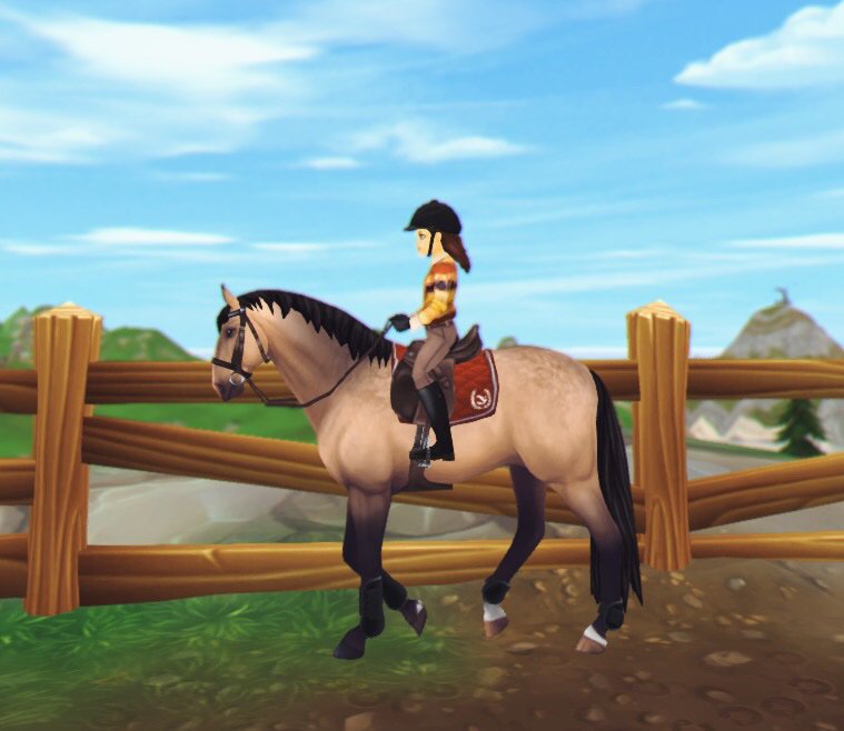 Flat Session With Rowan | Star Stable RRP Discussion Amino
