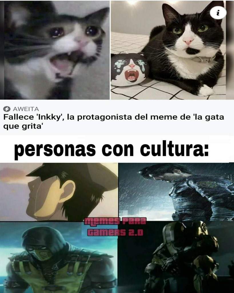 Offtopic Hoy Perdí Más De Lo Que Puedes Imaginar Boku No Memes