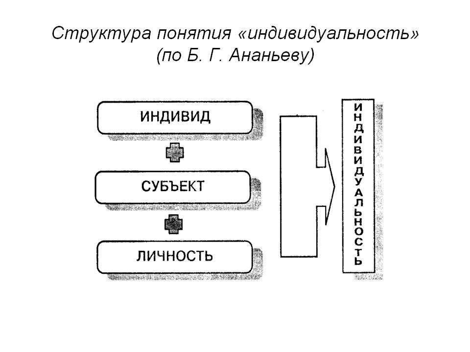 Схема психологической макроструктуры человека по ананьеву