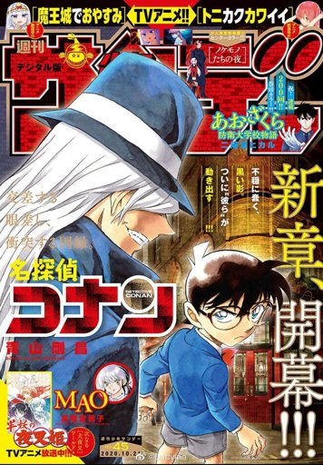 Manga Files Wiki Detective Conan 名探偵コナン Amino