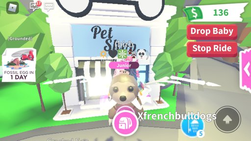 Latest Roblox Adopt Me Amino - trading my ride fly sloth for a neon ride fly dog adoptmeroblox