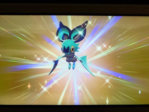 Shiny Noibat! (Pokémon Sword) | Pokémon Amino