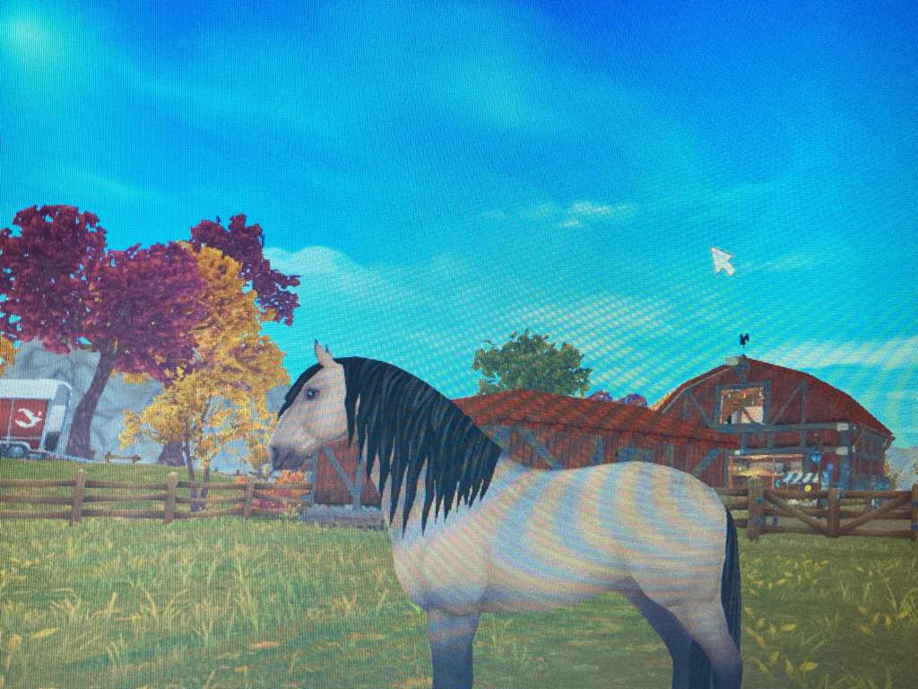 Lease horse Star Stable RRP Discussion Amino