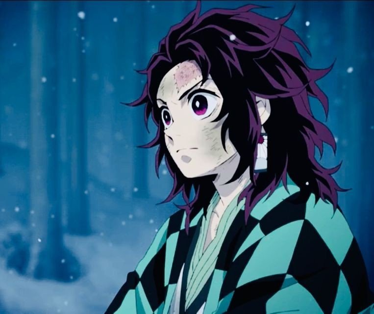 Long hair Tanjiro appreciation | Demon Slayer: Kimetsu No Yaiba Amino