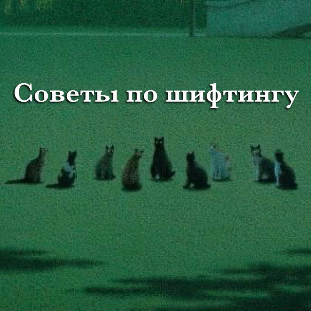 способы шифтинга без скрипта для новичков. 202886d4a55cbada0bbcabfeb8581819d8b61ba7r1 1080 1080v2 hq. способы шифтинга без скрипта для новичков фото. способы шифтинга без скрипта для новичков-202886d4a55cbada0bbcabfeb8581819d8b61ba7r1 1080 1080v2 hq. картинка способы шифтинга без скрипта для новичков. картинка 202886d4a55cbada0bbcabfeb8581819d8b61ba7r1 1080 1080v2 hq. Методы шифтинга рабочие 100% Шифтинг способы. Скрипты для шифтинга. Все методы от лучшего до худшего! Узнайте как сделать шифтинг…
