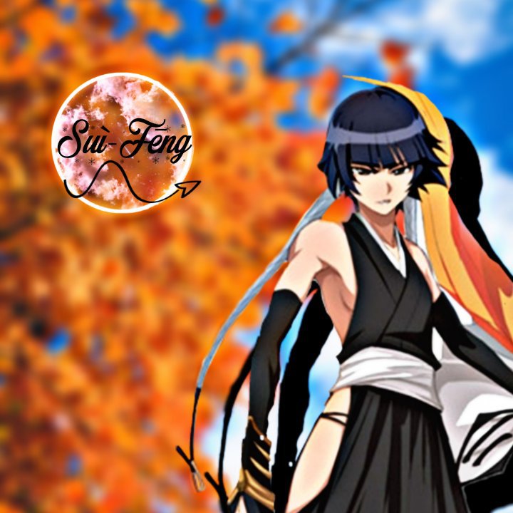 Top 13 Capitanes Shinigamis|| Generacion 1° | Bleach Soul World Amino