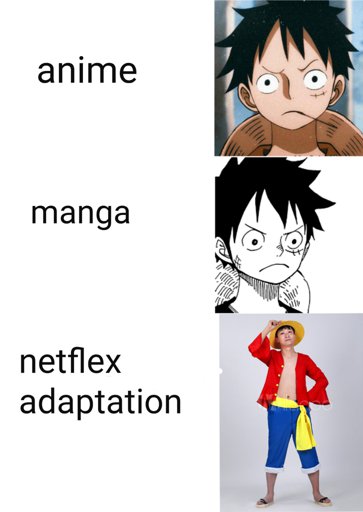 Meme aleatório | Wiki | One Piece Brasil™ Amino