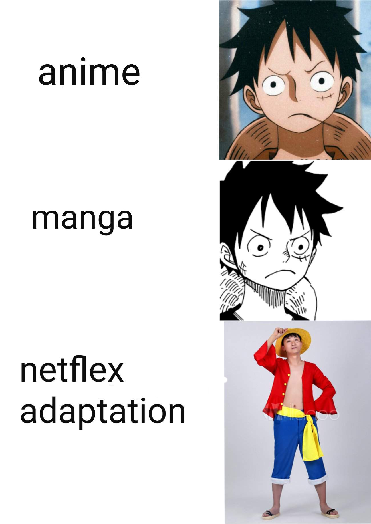 Meme aleatório | Wiki | One Piece Brasil™ Amino