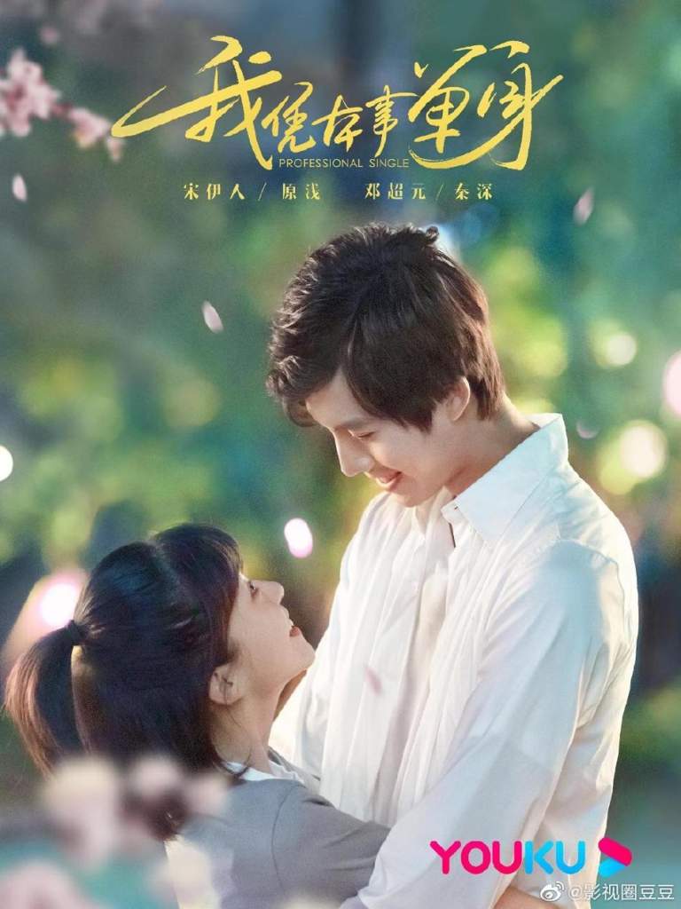 Poster of the Chinese Drama Professional Single