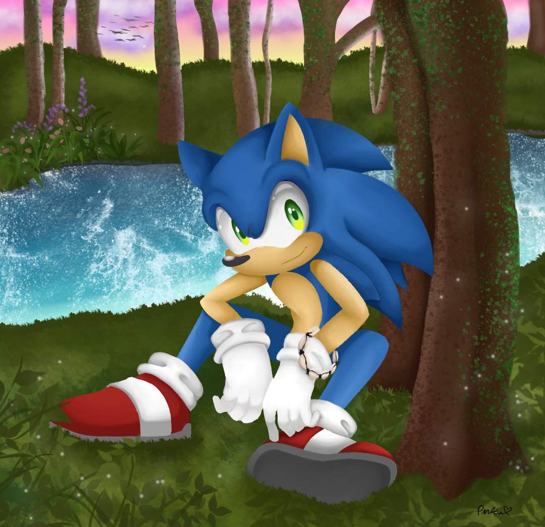 Into the Forest | Sonic the Hedgehog! Amino