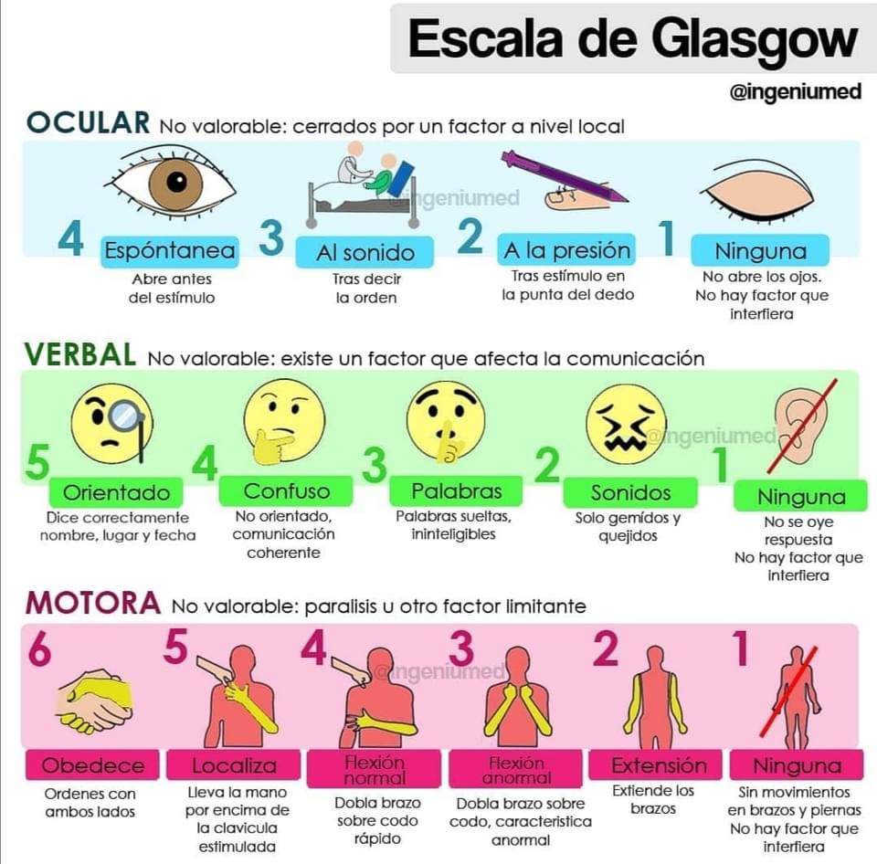 Escala de Glasgow | EQUIPOS MEDICOS UNIDOS 🇨🇴 Amino