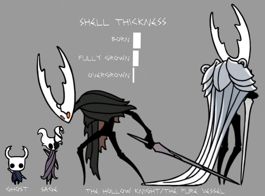 How Vessels Grow || Headcanon | Hollow Knight™ Amino