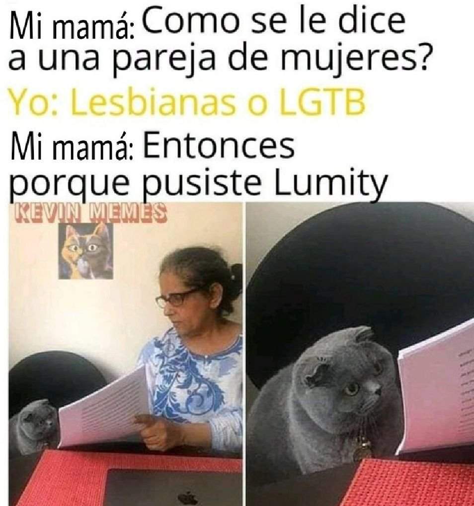 🤣.....MEMES.....🤣 | The Owl House: La Casa Búho Amino