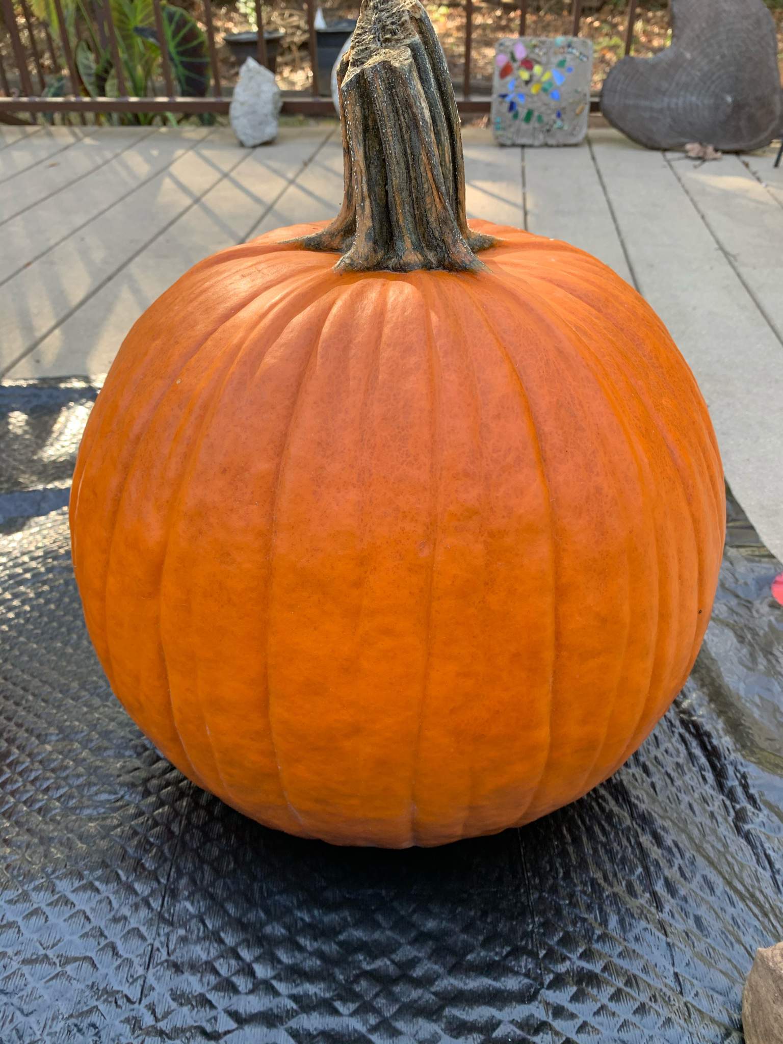 Eggman pumpkin | Sonic the Hedgehog! Amino