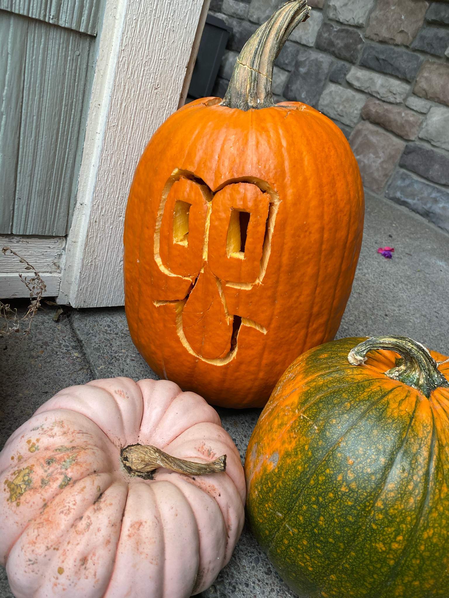 Squidward Pumpkin ig | Cartoon Amino