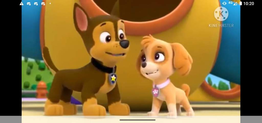 Skase ou Skarshall? | ☆ Paw Patrol || PT-BR ☆ Amino