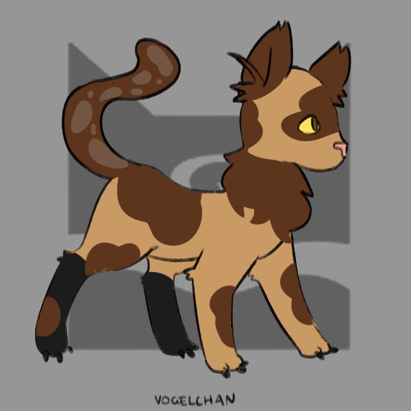 The Best Picrew Warrior Cats Models And Types Images