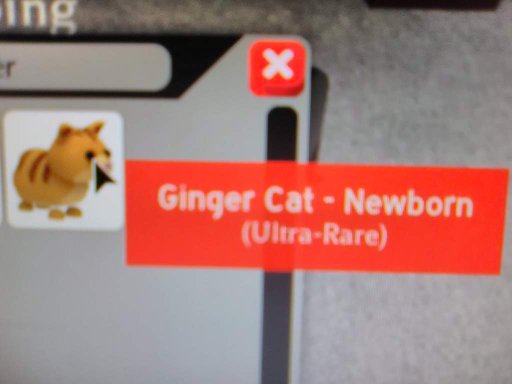 Latest Roblox Adopt Me Amino Latest Roblox Adopt Me Amino