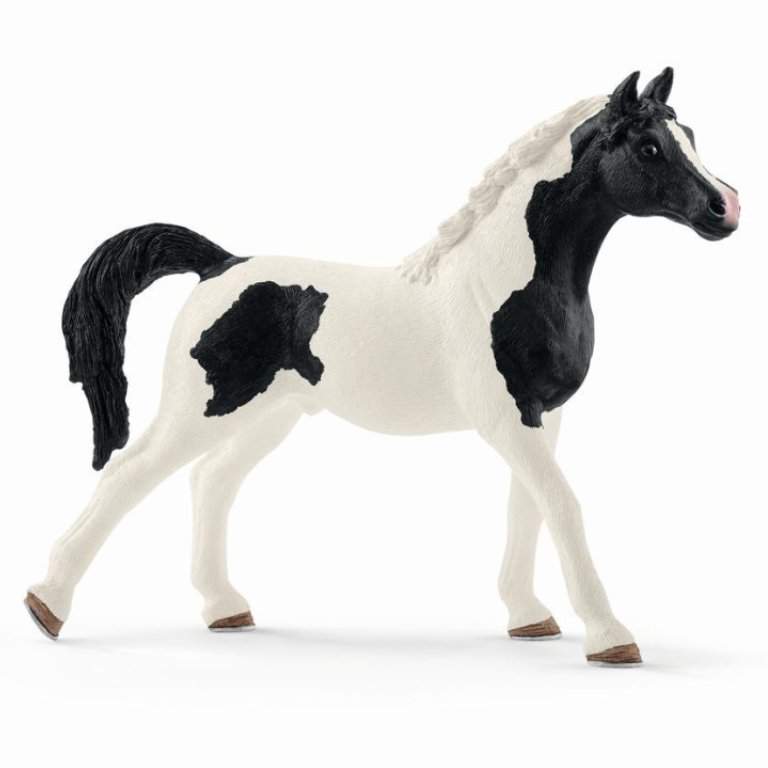 Solaire | Wiki | Schleich Toy Horses Amino