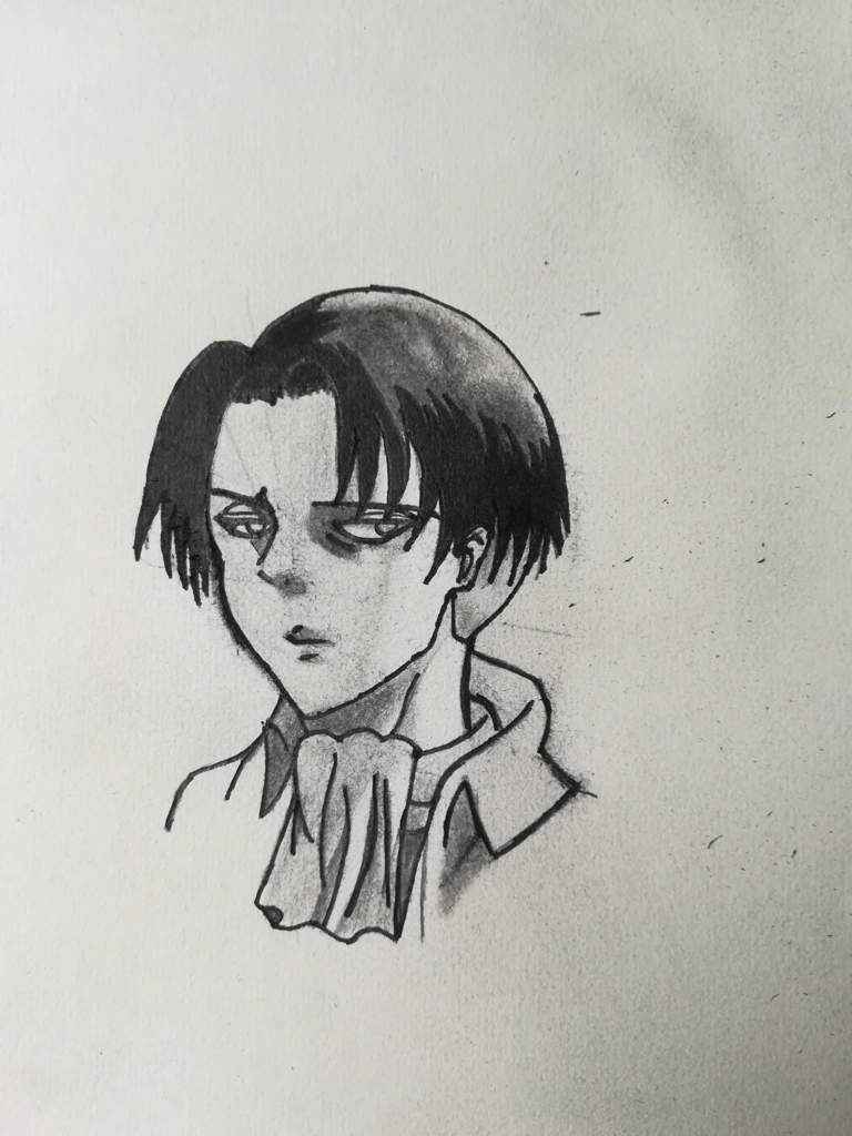 Eren Jaeger Haircut Will Eren And Mikasa End Up Together Eren Jaeger Haircut Will Eren And Mikasa End Up Together