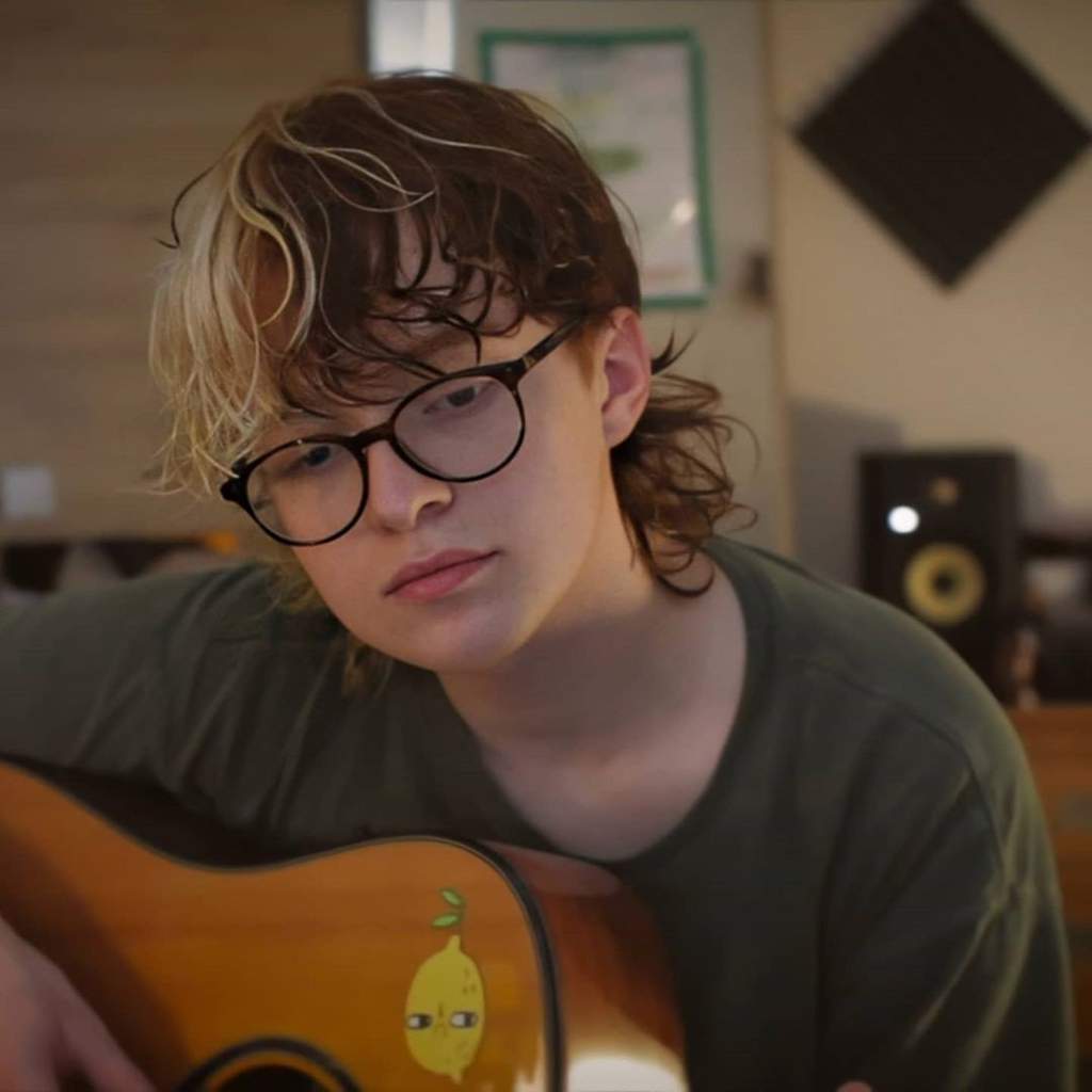 cavetown Wiki ARMYBR Amino