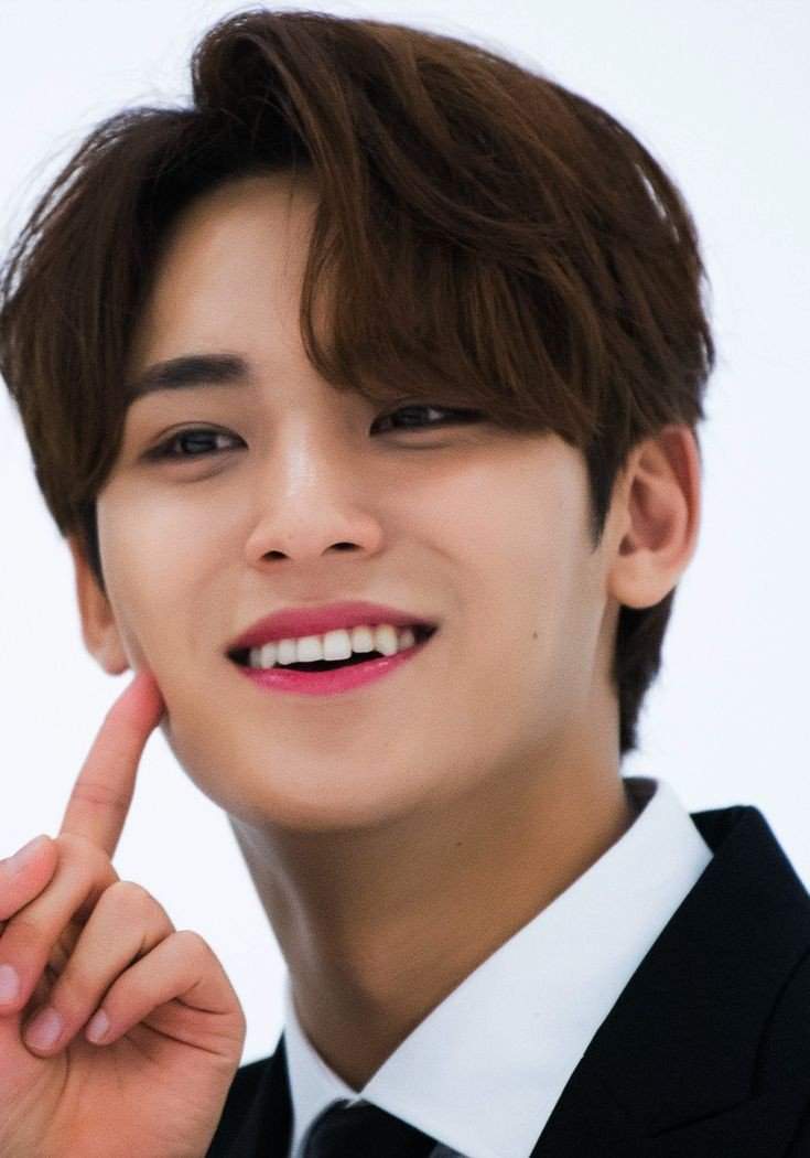 Esos colmillos hacen una sonrisa muy bonita Mingyu 😳 💎 | SEVENTEEN ...