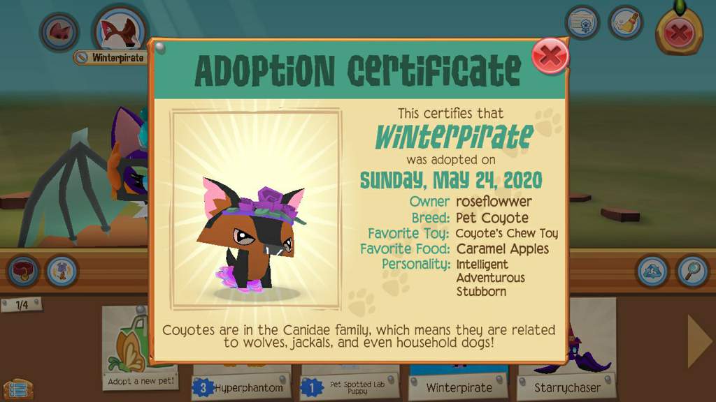 All my pets | Wiki | Animal Jam - Play Wild! Amino Amino