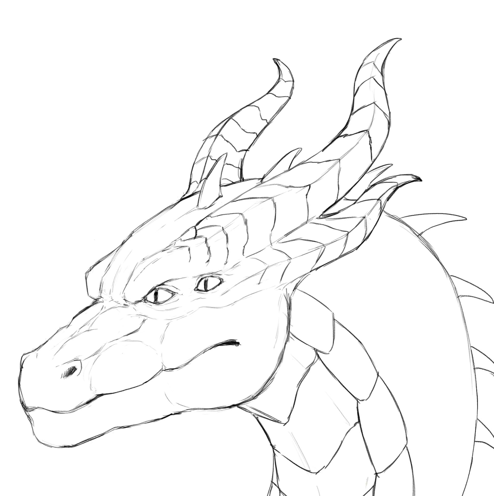 Dragon Headshot Lineart | Dragon Artists Amino