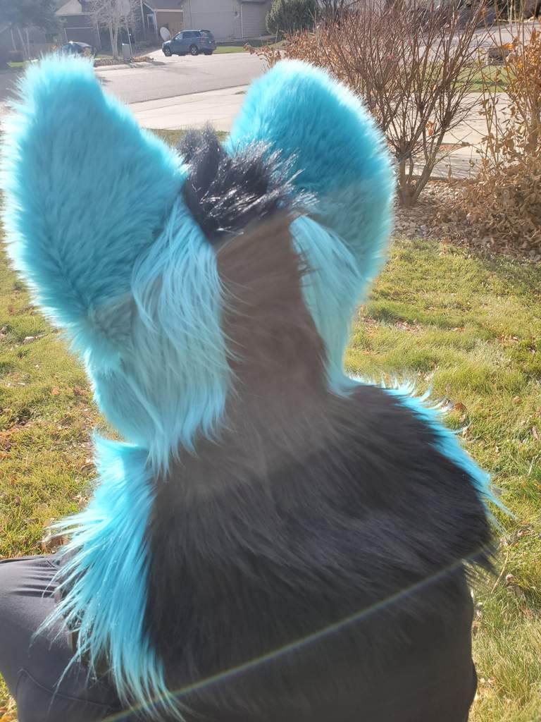 Did You Know I Make Fursuits? | Furry Amino