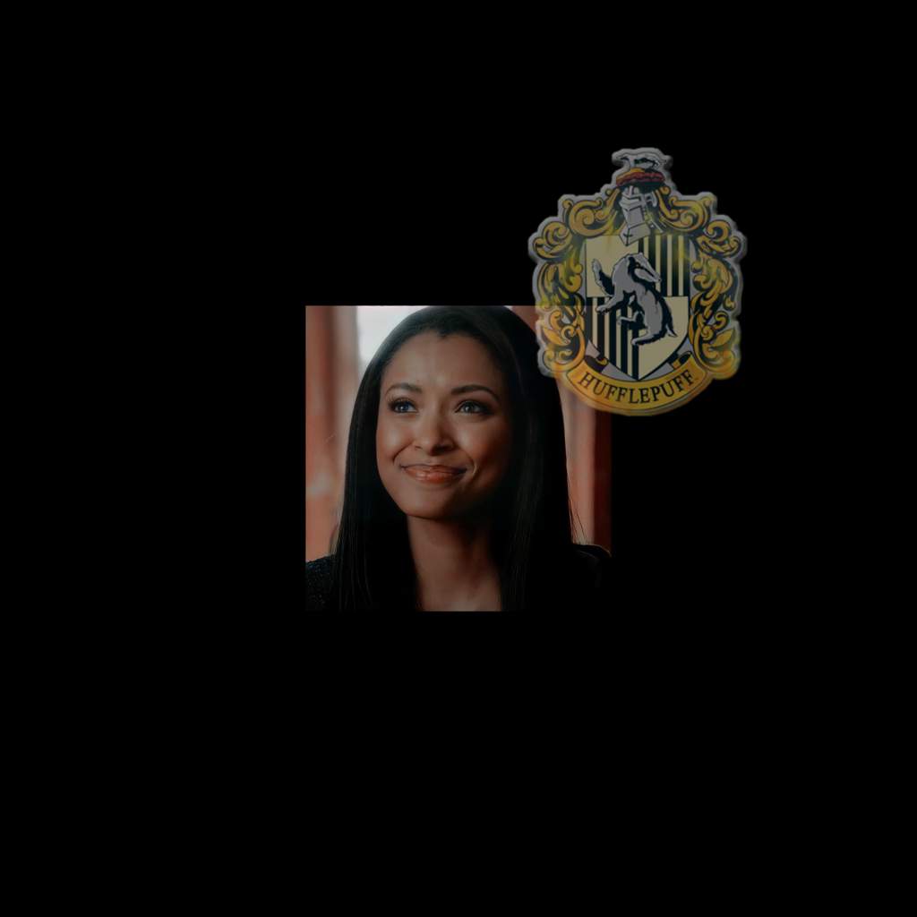 𝐓𝐕𝐃/𝐓𝐎/𝐋𝐞𝐠𝐚𝐜𝐢𝐞𝐬 𝐇𝐨𝐠𝐰𝐚𝐫𝐭𝐬 𝐡𝐨𝐮𝐬𝐞𝐬 Crossover Harry Potter Amino