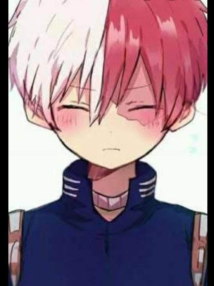 todoroki ♡ | Wiki | •Anime• Amino