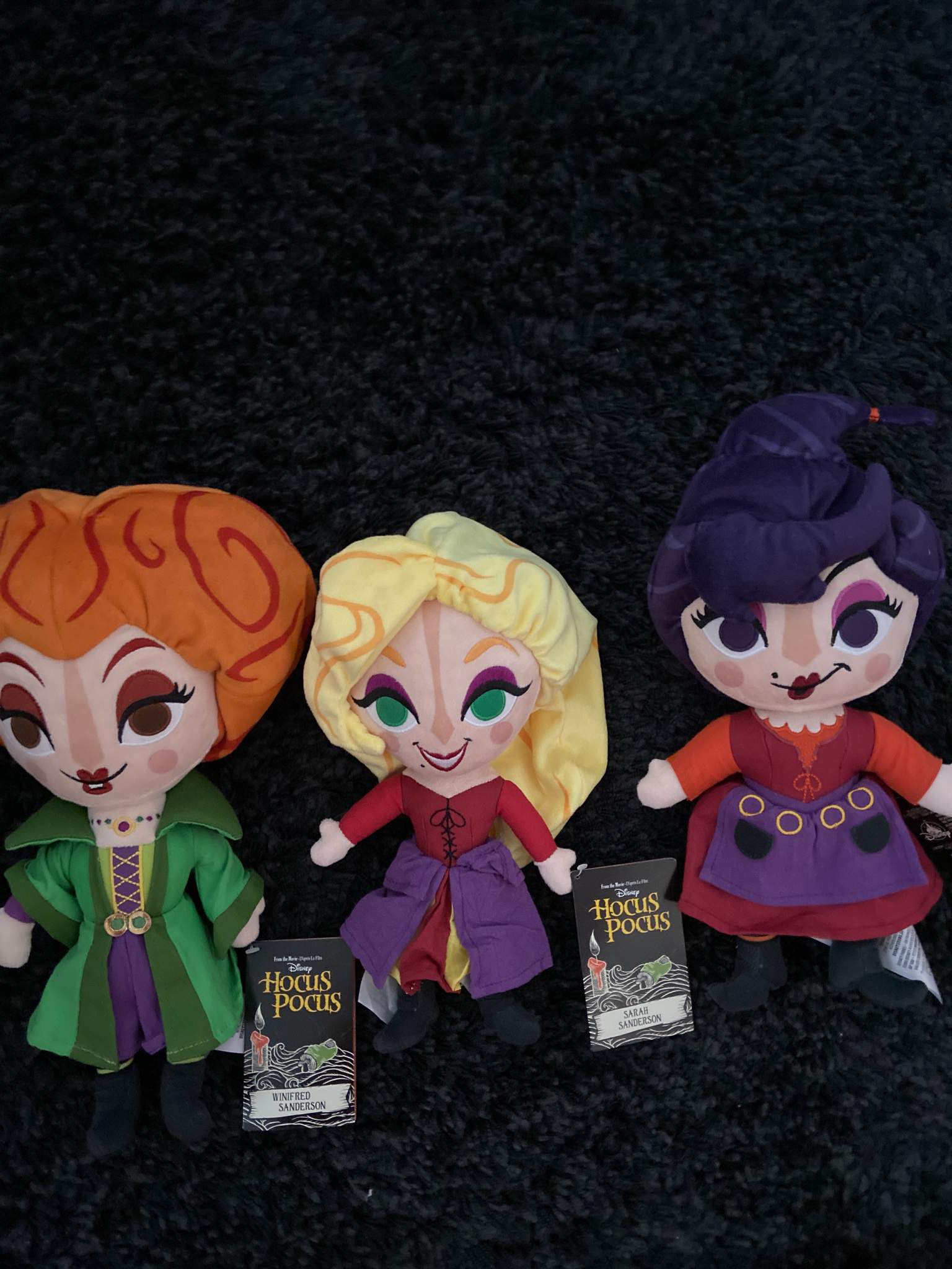 Adorbs Hocus Pocus Plushies!! | Toys Amino