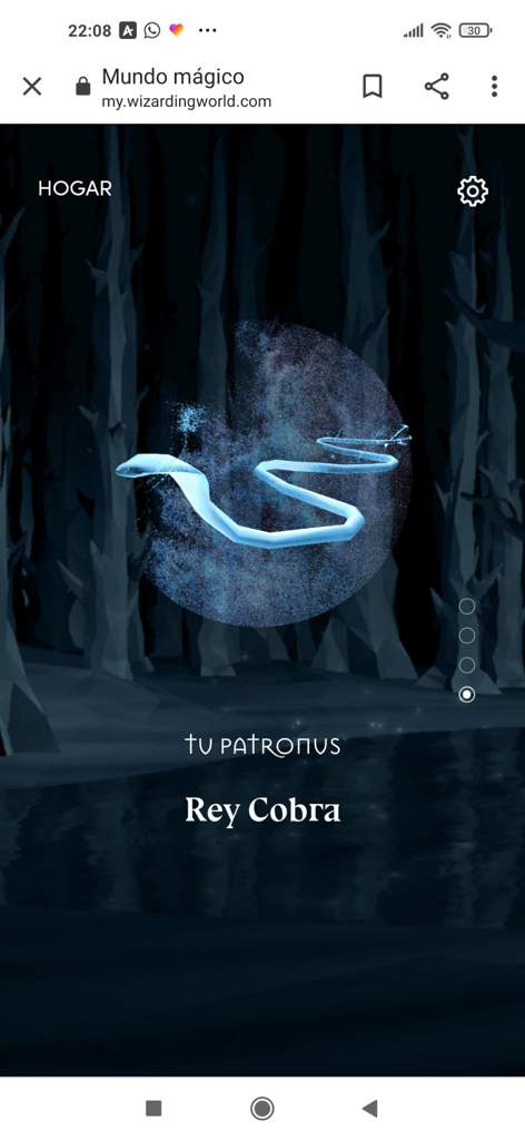 Test de Wizarding World | •Harry Potter• Español Amino