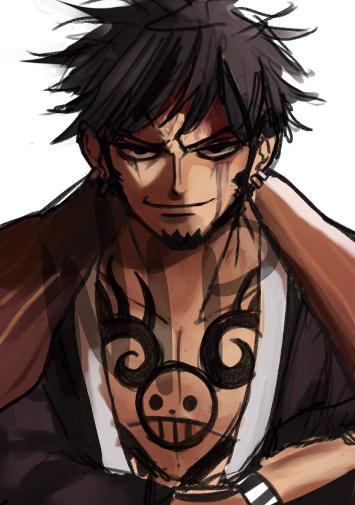 Torao doodles | One Piece Amino