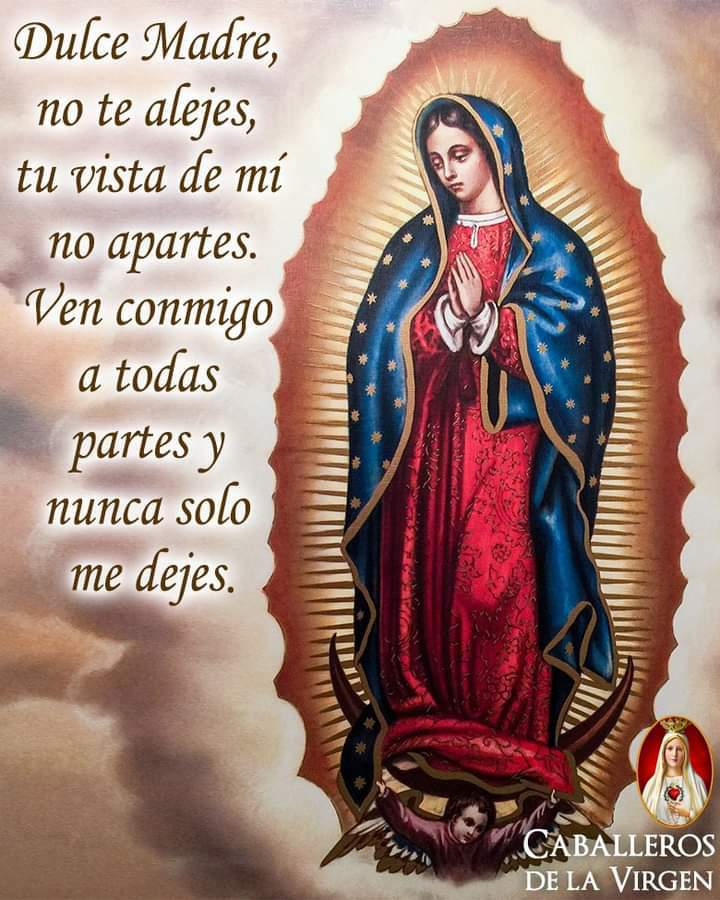 La Oracion Dulce Madre dedicada a la Santísima Virgen Maria Madre de ...