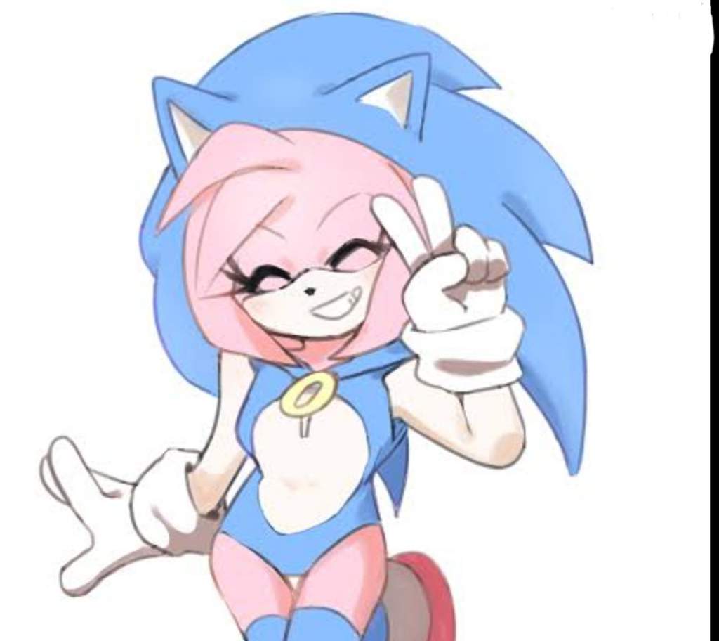 🖤 Amie Rosie 🖤 | Sonic the Hedgehog! Amino