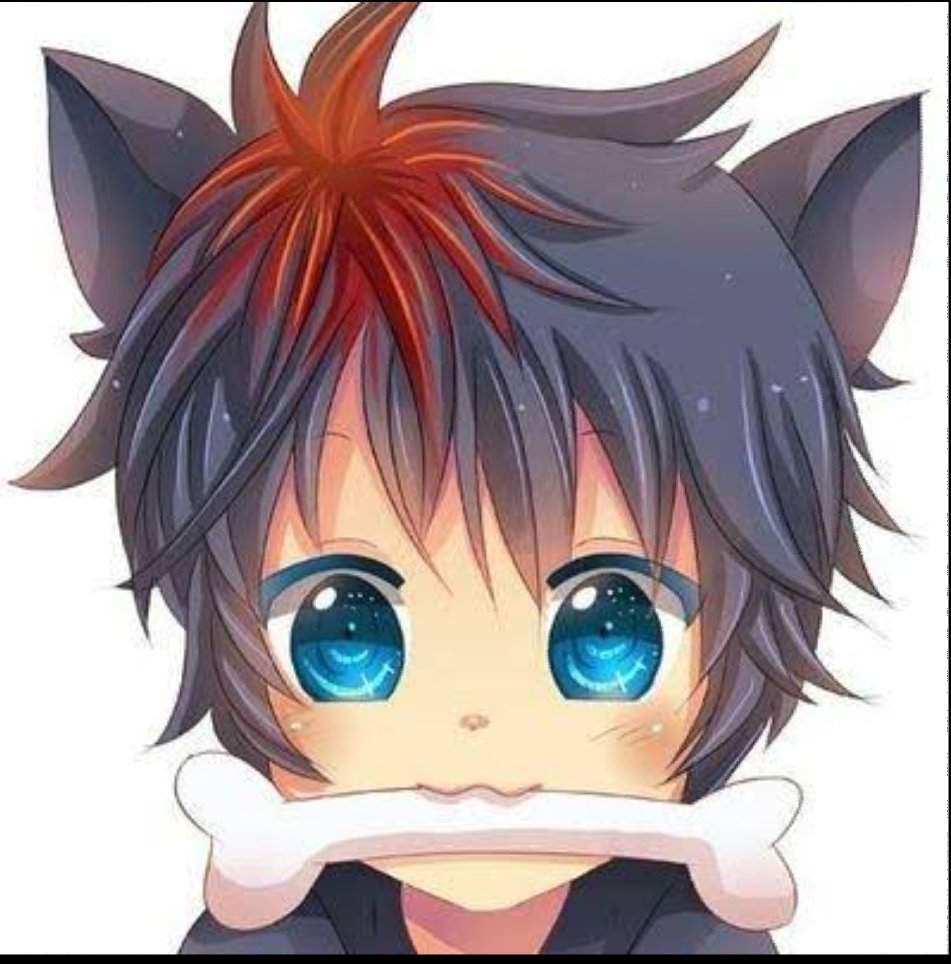 Neko kawai uwu | •Anime• Amino