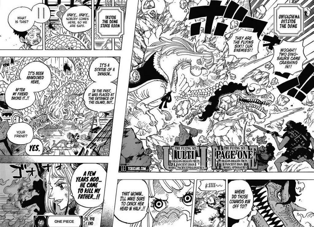 Was Ace viewed as a respected opponent by Kaido?! (Read Description ...