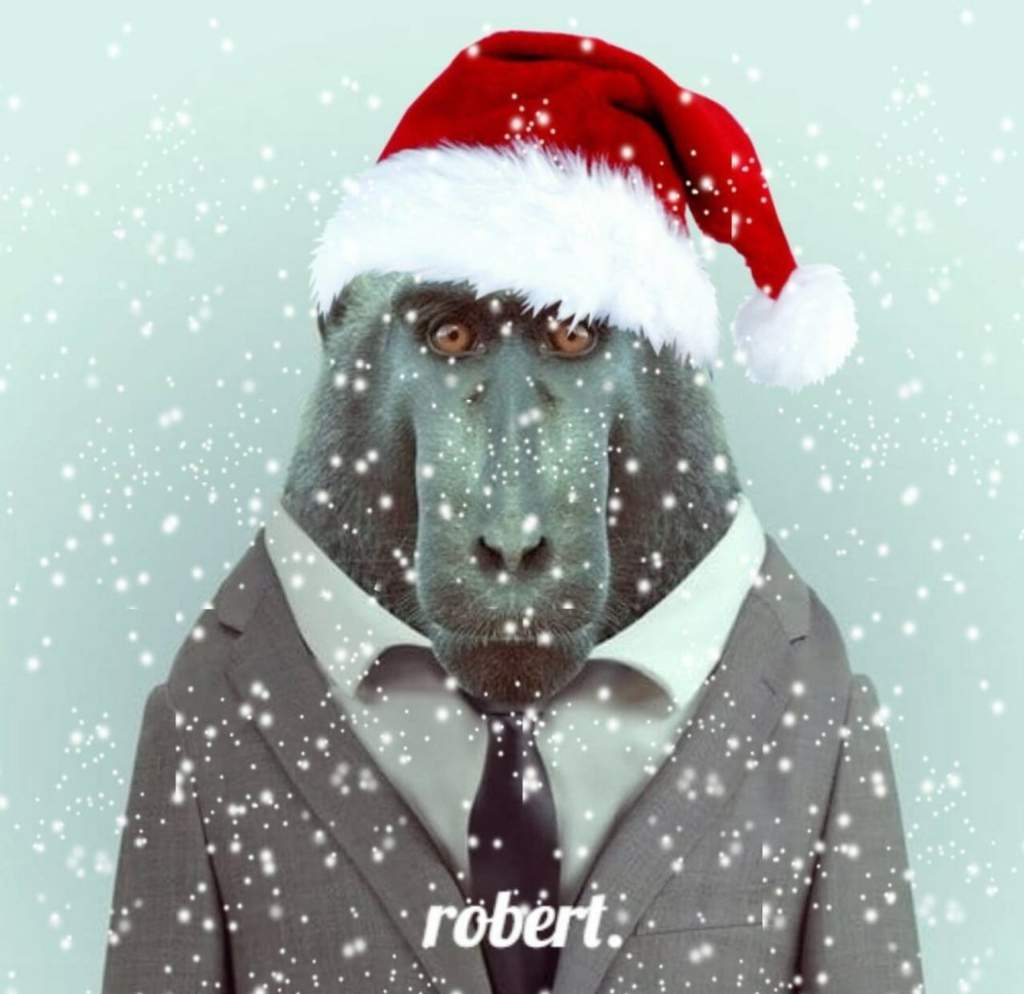 Мем заставка robert