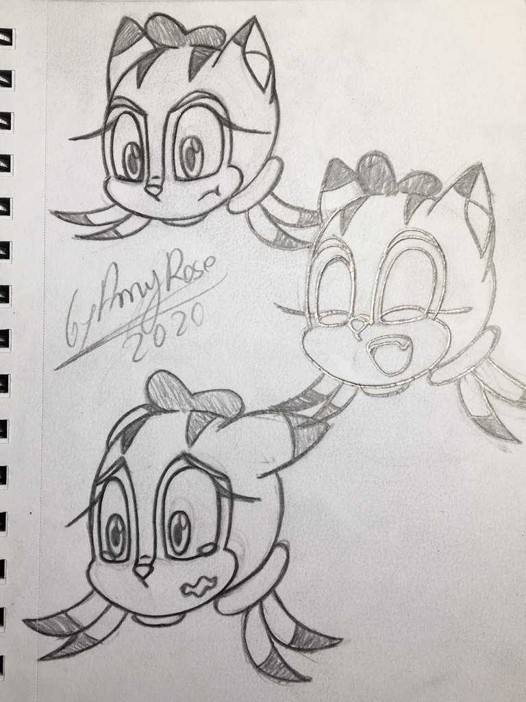 Penelope The Squirrel acorn | Wiki | Sonic the Hedgehog! Amino