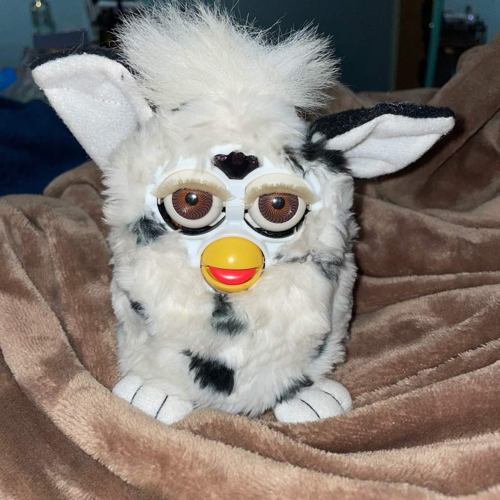 My 3 new furbies | Furby Amino